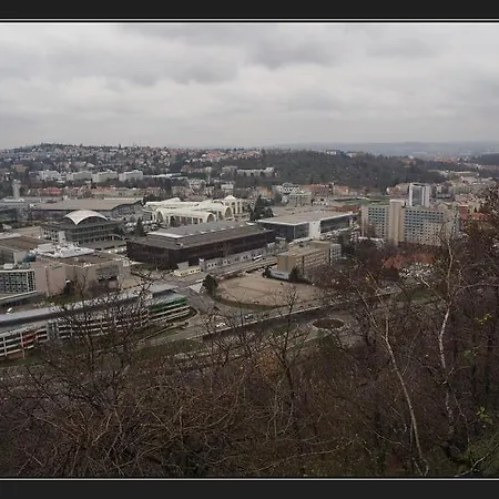 - V Bohémské čtvrti Kamenka Brno