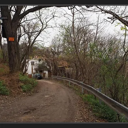 - V Bohémské čtvrti Kamenka Brno