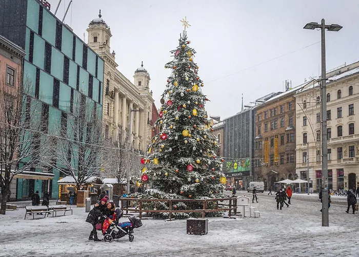 - V Bohemske Ctvrti Kamenka Brno