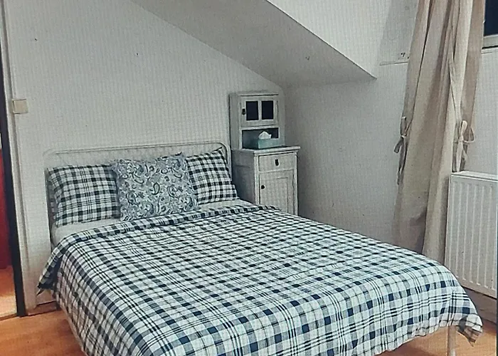 - V Bohemske Ctvrti Kamenka Appartement Brno