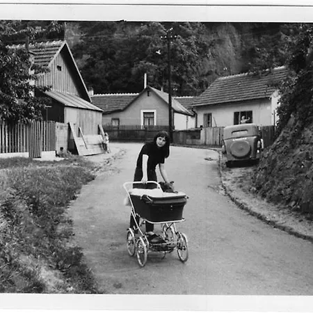 Apartmán - V Bohemske Ctvrti Kamenka *