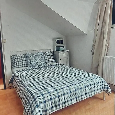 - V Bohemske Ctvrti Kamenka Apartmán Brno